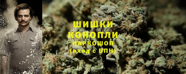 спайс Ельня
