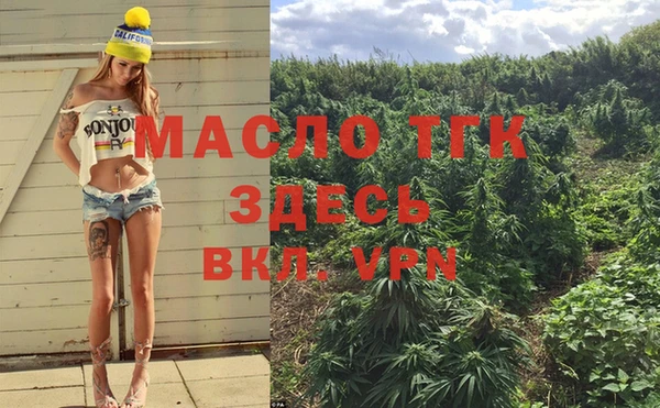 спайс Ельня