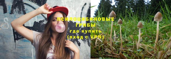 спайс Ельня