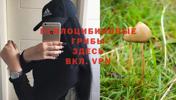 a pvp Дмитровск