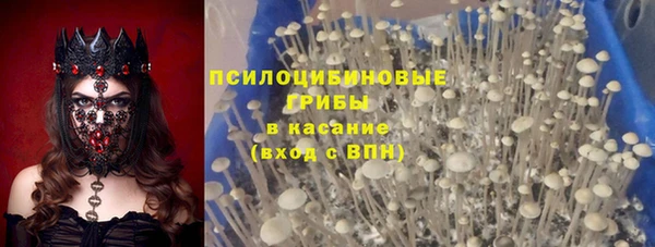 амфетамин Елизово